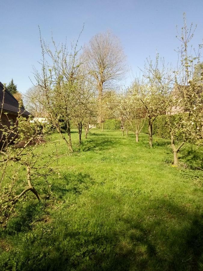 Gite Du Montagnard Oxelaere Exterior foto